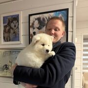 ���������� �����-���������, ���� ����� ������, 23 ����, ������������ ��� ������, ����� � ���������