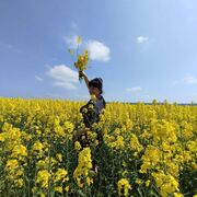 ��, ������