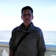  -,   Kot123, 65 ,   