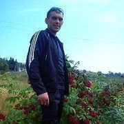  ,   , 43 ,     , c 