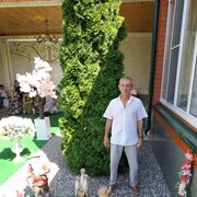  ,   , 61 ,   ,   