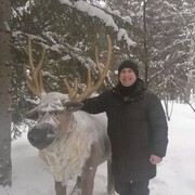 ���������� ���������, ���� ������� ��������, 40 ���, ������������ ��� ������, ����� � ���������, c�������� ���������