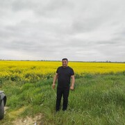  ,   , 37 ,   ,   