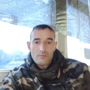  ,  , 41
