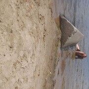  ,   , 42 ,   ,   