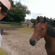 ���������� �������, ���� ������� Sachet, 43 ����, ������������ ��� ������, ����� � ���������, c�������� ���������