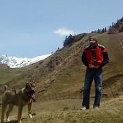 ���������� �������, ���� ������� Skyp torno71, 51 ���, ������������ ��� ������, ���������