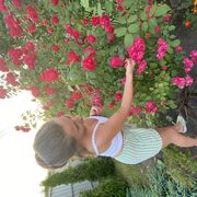 ���������� ������, ���� ������� ����, 31 ���, ������������ ��� ����� � ���������, c�������� ���������