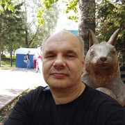 ,   Kitten, 58 ,   ,   