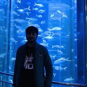 ���������� �����-���������, ���� ������� Bilal, 27 ���, ������������ ��� ������, ����� � ���������, c�������� ���������, ���������