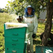 ���������� ������, ���� ������� ������, 41 ���, ������������ ��� ������, ����� � ���������, c�������� ���������