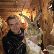  ,   , 37 ,   