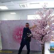  -,   , 49 ,   ,   , c , 