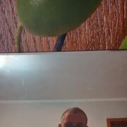 ���������� ������, ���� ������� Sergey, 42 ����, ������������ ��� ����� � ���������, c�������� ���������