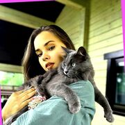 ���������� ������, ��������