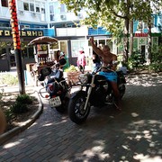  ,   , 51 ,   ,   , c 