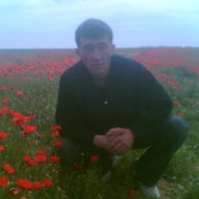 ���������� ���������, ���� ������� �����, 41 ���, ������������ 