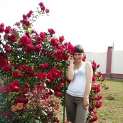 ���������� �����, ���� ������� �����, 37 ���, ������������ 