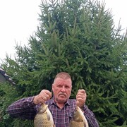 ���������� ����, ���� ������� �������, 69 ���, ������������ ��� c�������� ���������