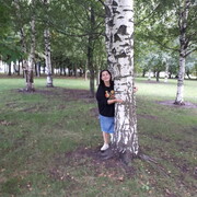  -,   , 55 ,     , c 