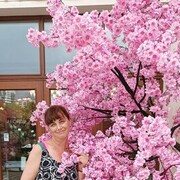  ,   , 54 ,   c 