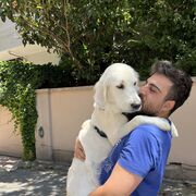  Korfez,  Deniz, 33