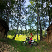 ���������� �����������, ���� ������� ���������, 29 ���, ������������ ��� ������, ����� � ���������, c�������� ���������