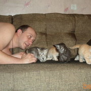  --,   Dima, 44 ,   ,   , c 