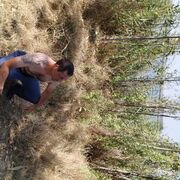  ,   , 39 ,   