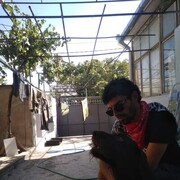  ,   Giorgi, 39 ,   ,   
