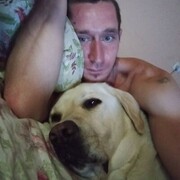 ���������� �����, ���� ������� �����, 33 ����, ������������ ��� ������, ����� � ���������, ���������