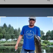   ,  , 53