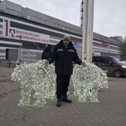 ���������� ���������, ���� ������� ������������, 36 ���, ������������ ��� ������, ����� � ���������