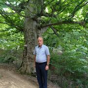 ���������� ����, ���� ������� Camaleddin, 60 ���, ������������ ��� ������, ����� � ���������, ���������