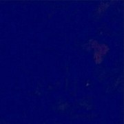 ���������� ��������, ���� ������� ���, 49 ���, ������������ ��� ������, ����� � ���������, c�������� ���������