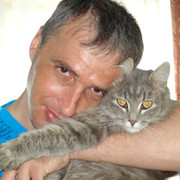  ,   , 52 ,   ,   , 