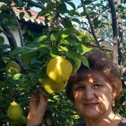  ,   , 63 ,  