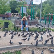 ���������� ����, ���� ������� �������, 53 ����, ������������ ��� ������, ����� � ���������