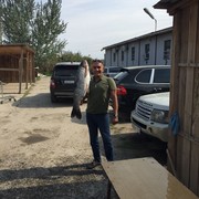 ���������� ��������, ���� ������� �����, 50 ���, ������������ ��� ������, ����� � ���������, c�������� ���������