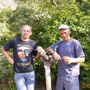 ���������� �����������, ���� ������� ����, 51 ���, ������������ ��� ������