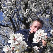 ���������� �����������, ���� ������� �������, 43 ����, ������������ ��� ������, ����� � ���������, c�������� ���������