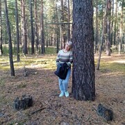 ���������� �������, ���� ������� �������, 61 ���, ������������ ��� ������, ����� � ���������