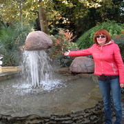  -,   , 61 ,   ,   , c 