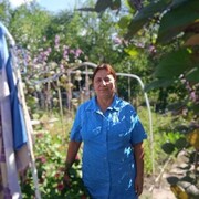  ,   , 53 ,   