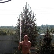 ���������� ���������, ���� ������� �������, 53 ����, ������������ ��� ������, ����� � ���������, c�������� ���������