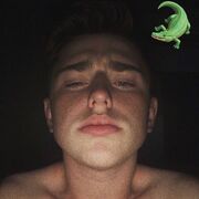 ���������� ���������, ������ Siba, 22