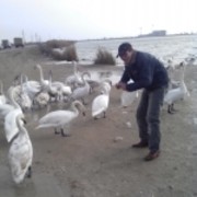 ���������� �����������, ���� ������� ������, 45 ���, ������������ ��� ����� � ���������, c�������� ���������