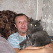  ,   , 54 ,   ,   , c 