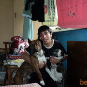 ���������� �����������, ���� ������� Mario, 36 ���, ������������ ��� ����� � ���������, c�������� ���������