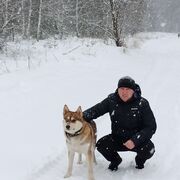 ���������� ������, ���� ������� ������, 44 ����, ������������ ��� c�������� ���������